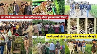 ड्रोन से हुई घेराबंदी | पिंजरा सजाया | जाल बिछाया | फिर भी पिंजरे को ठेगा दिखा ओझल हुआ आदमखोर तेंदुआ