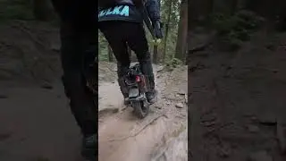 My trail partner: Nosfet Apex #euc #electricunicycle #NosfetApex #offroadlife #euccommunity
