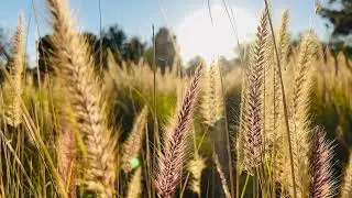 Meditation to Expand Your Capacity to Receive | The Manifesting Latina