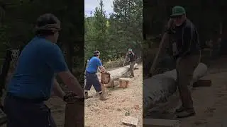 Scott and Son Rotate Center Ridgebeam Column Log on Supports