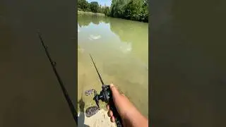 MOVEMENT of SWIMBAIT #fishing #swimbaitfishing #fishingvideo #swimbait #bigswimbait #foryou