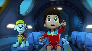 Paw Patrol - Pirate Ship Rescue | WildBrain Zoo | Cartoons for Kids