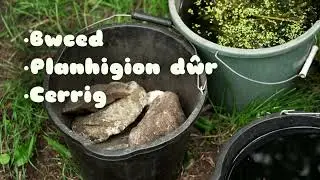 6  Creu pwll natur dwyieithog