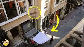 This Dog Was Trapped on a Balcony&hellip; What Happened Next Is Incredible