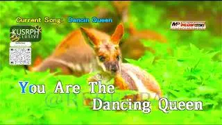 Dancin Queen - ABBA || Megapro plus midi karaoke 