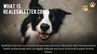 🐾 Looking for a legitimate Emotional Support Animal (ESA) letter online?
