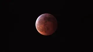 4K Super Blood Wolf Moon Lunar Eclipse over Central Illinois, USA