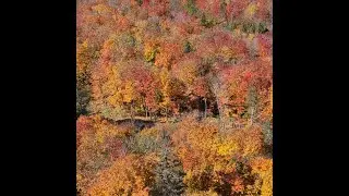 2024 Minnesota North Shore Explorer for Fall Colors and Northern Lights