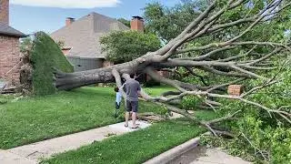Take a look at storm damage clean-up in Plano, Texas
