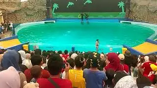11 Oktober 2025