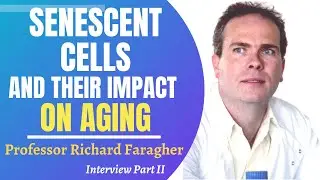 Senescent Cells And Their Impact On Aging | Prof Richard Faragher Interview Series Ep 2