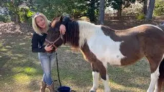 Horsing around with one of my best girls, Dolly ￼