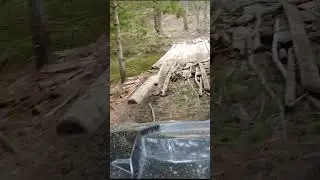 Jack Lake ATV / Snowmobile Trail #shorts