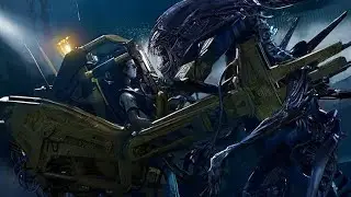 𝙀𝙡𝙡𝙚𝙣 𝙍𝙞𝙥𝙡𝙚𝙮 𝙫𝙨 𝙌𝙪𝙚𝙚𝙣 𝙓𝙚𝙣𝙤𝙢𝙤𝙧𝙥𝙝