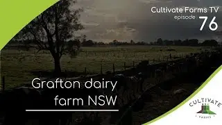 Grafton dairy farm NSW