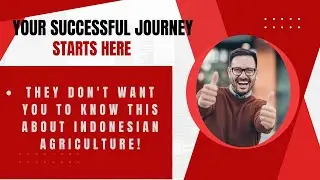 Import/Export Business Most Profitable today : Start Your international  Agricultural  Journey Today