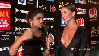 Amy Jackson At Red Carpet SIIMA 2015 Awards | Tamil