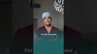 IUI vs IVF I Which One Is Right For You? 🤔