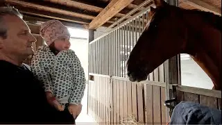 Осень в конюшне
