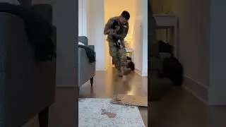 Military Man Returns: Cat's UNFORGETTABLE Welcome Home! #pawsn
