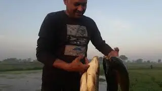 Palkhu stream