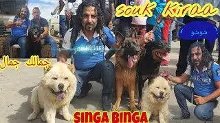 سوق القريعة بالدار البيضاء 🇲🇦🇲🇦يوم الأحد 3/10/2021 مع باعة الكلاب واحسن انواع جمالك جمال 🐕🐕🐶🐶