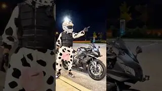 It&rsquo;s a zoo out there 🐮/🐠