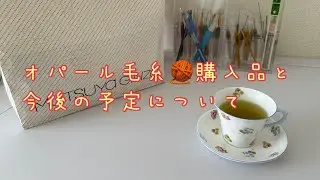 マルティナさんと魔法の毛糸フェアに行って来ました❣️購入品紹介と、今後の活動予定についてお話ししてます。