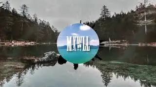 Deadfly - MXWLL