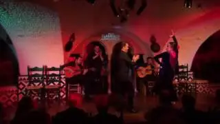 Noches Mágicas de Antología Belén López por Tarantos  @TablaoCordobes