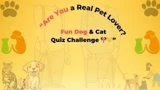 ⭐ “Are You a Real Pet Lover? | Fun Dog & Cat Quiz Challenge 🐶🐱”