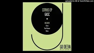 Gasc - Neiva (Original Mix)