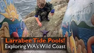 EP 26 - Exploring Coastal Wonders at Larrabee State Park | Washington State