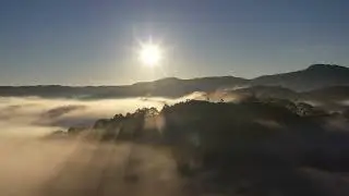 528hz Love Frequency
