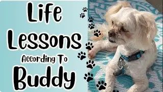 Life Lessons According To Buddy