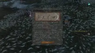 Playing Sekiro after like half a year