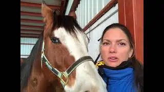 Melissa Arnold Wants to Tell you About Cavallo Hoof Boots!