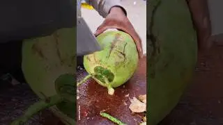 Natural Tiny Fresh Coconut Water. Amazing Coconut Cutting Skills. #shorts #coconut #cuttingskills