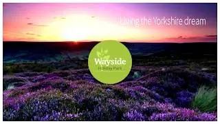 Wayside Holiday Park and Lakes Static Caravan