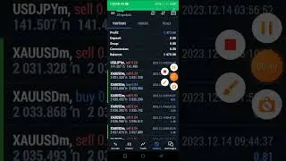 forex trading making only profits XAUUSD 100%