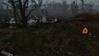 Enjoying The Zone