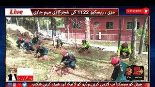 Rescue 1122 continues tree planting campaign in different areas of Murree۔Report by Atiq Abbasi