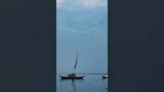 Fisherman Sailing Dhow Boat Dunga Beach Fish Seafood Market Lake Victoria Kisumu City County Daka Af