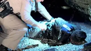 Live PD Behind the Scenes VidOvation AVIWEST