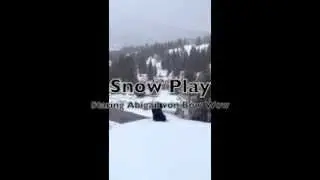 New Hobby - Dog Belly Sledding