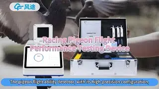 🕊Racing Pigeon Flight Performance Testing Device