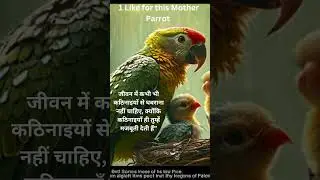 Mother Parrot's Brave Struggle 🦜 | A Heartwarming Short #motherhood     #birdlife #parrotlover
