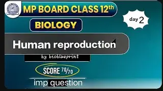 Human reproduction part 2 by bioblueprint 🌿