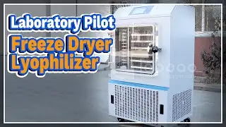 Laboratory Pilot Freeze Dryer Lyophilizer - LABOAO