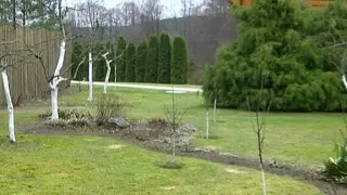 Kaip įrengti sodą, kad jis neštų sėkmę ir pinigus?